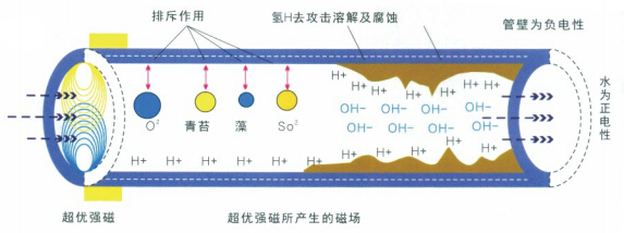 强磁水处理器示意图.jpg